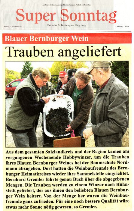 Pressebeitrag Super Sonntag 'Trauben angeliefert'